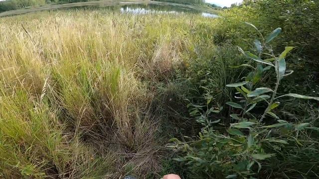 Ряска для пруда. [Жизнь в деревне] смотреть онлайн