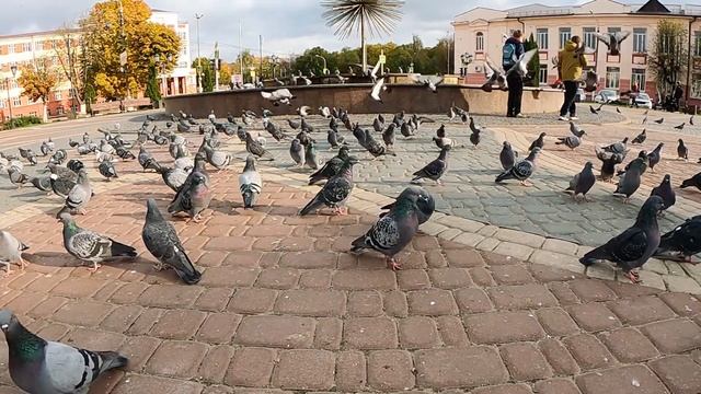 GoPro 9 съемка 240 кадров в секунду смотреть онлайн