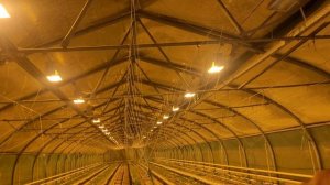 Первый мороз, в теплице +3?