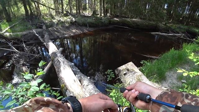 Рыбалка в Ленинградской области | Ультралайт #5 | Ловля форели смотреть онлайн
