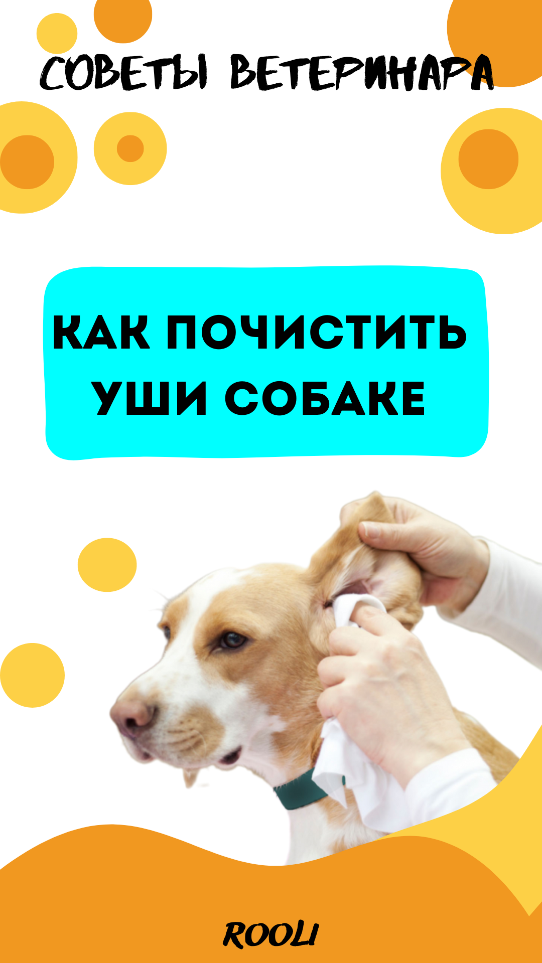 Как почистить уши собаке. смотреть онлайн
