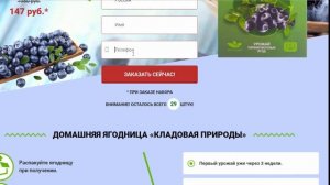 Черника на подоконнике круглый год