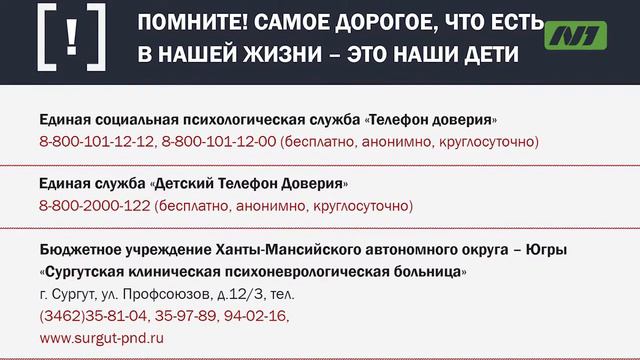 Молодёжный парламент против летающих китов. смотреть онлайн
