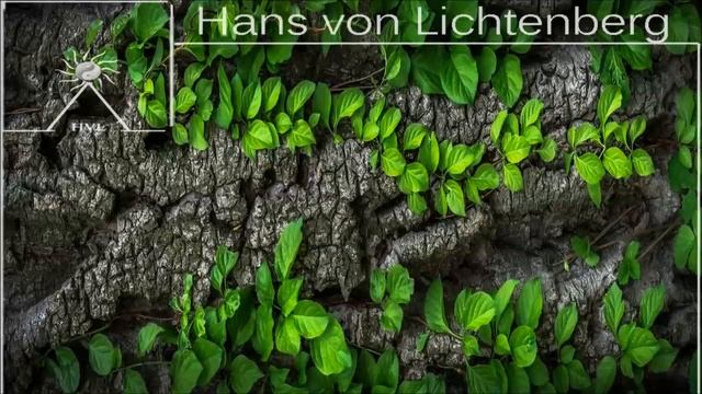 RAINSONGS - Enchanted Tunes (Joy to read, study, meditate, focus, learn, sleep, dream) смотреть онлайн