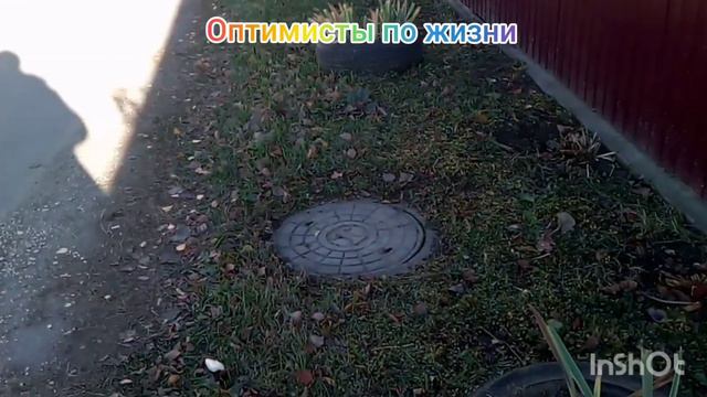 ПОСЛЕДНИЕ ЦВЕТЫ! / ДАВАЙТЕ ДЕЛАТЬ ДОБРО! смотреть онлайн