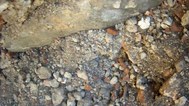 Archaeological excavations of Aboa Vetus 18.6.2019 #3 смотреть онлайн