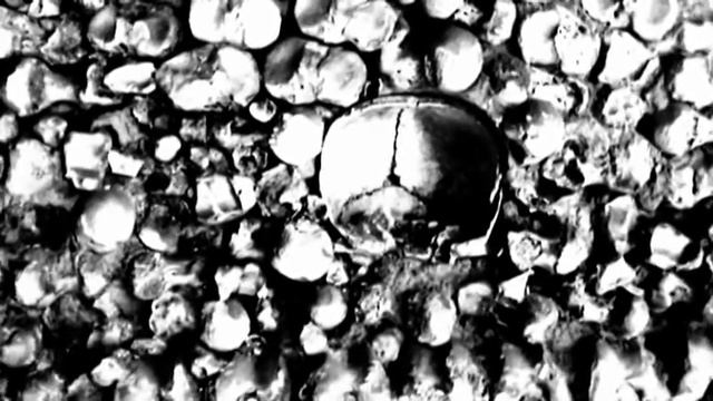 TEMPLE OF THE MAGGOT - "Leftovers for the God" смотреть онлайн