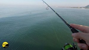 РЫБАЛКА НА МОРЕ КАК БЫСТРО ПОЙМАТЬ РЫБУ? #Рыбалка #кефаль #чуларка #хамса #спирса