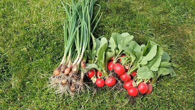Очень нежный и вкусный медовик/очень много дел #влог #жизньвгермании #моибудни #готовимдома #обзор смотреть онлайн