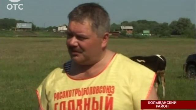 Кто поймал "золотую рыбку": в Колыванском районе прошли соревнования по рыбной ловле смотреть онлайн