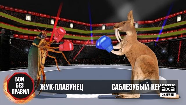 Межпрограммка 2х2. Телешоу будущего смотреть онлайн