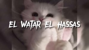 El Watar El Hassas - Sherine (arab song) - speed up | jxvnav