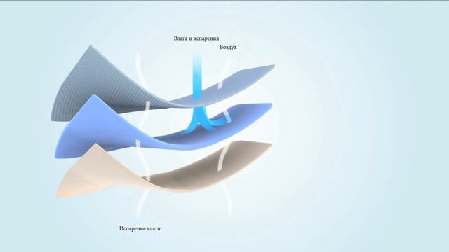 Трусы Сaretex при недержании белые смотреть онлайн