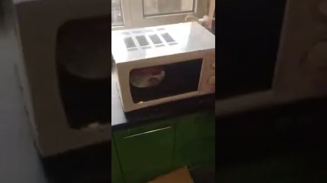 Распаковка товара (Микроволновая печь) смотреть онлайн