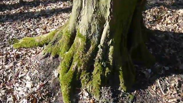 Camera Video Test: Panasonic Lumix DMC-LS80 (2008) смотреть онлайн