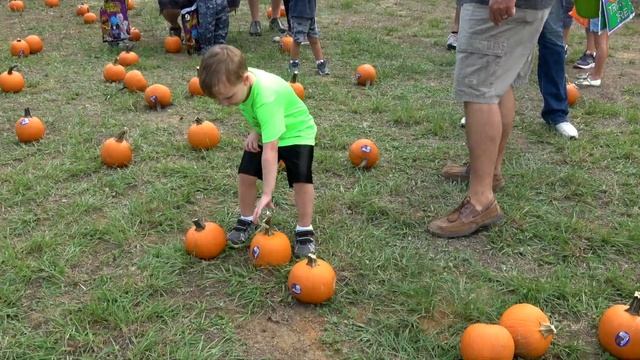 Pumpkin Patch Train Ride смотреть онлайн