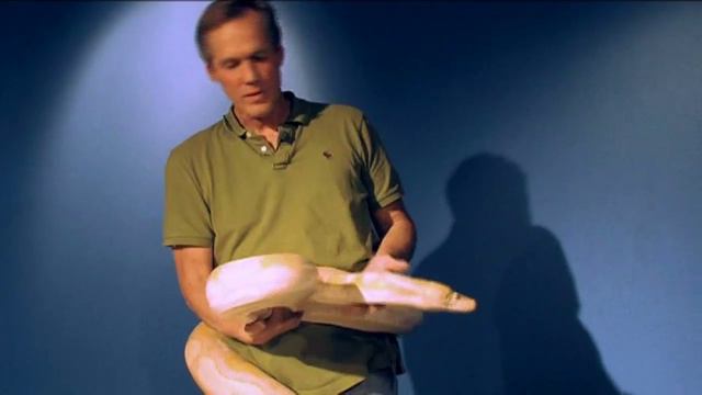 snake collectors.mov смотреть онлайн