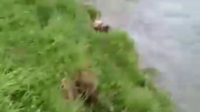 Рыбалка на р.Терсь, Новокузнецк.Открыли сезон по хариусу.2019г. смотреть онлайн