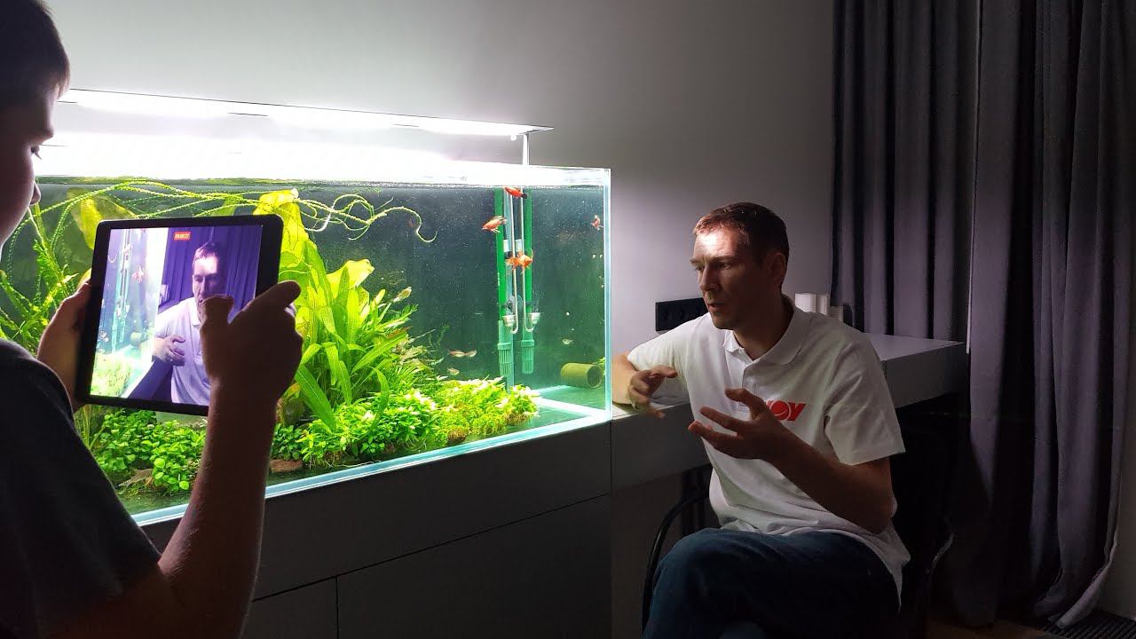 Запуск Пресноводного Аквариума смотреть онлайн