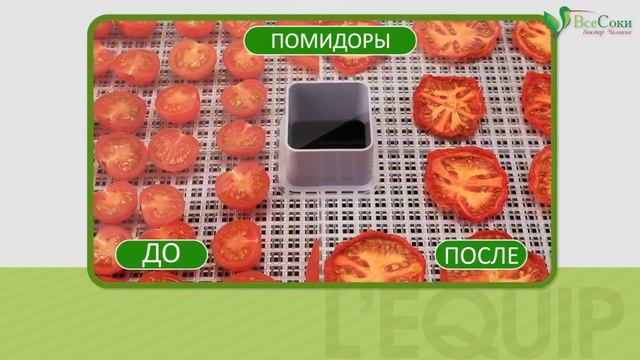 Как работает дегидратор(принцип сушки L'EQUIP D-Cube LD-9013) смотреть онлайн