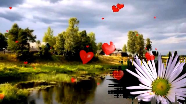 ЦВЕТЫ ДЛЯ ЛЮБИМОЙ смотреть онлайн