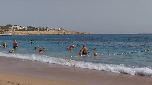 Пляж Novotel Шарм эль Шейх смотреть онлайн