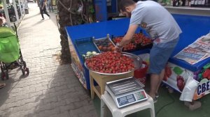 Кемер Чамьюва Весь путь к морю из отеля MG White Lilyum Hotel 5*