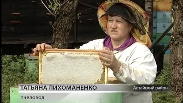 Как определить натуральный мед смотреть онлайн