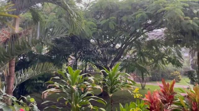 Сейшелы. Seychelles. 塞舌尔。 66