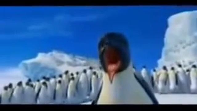 Копия видео "пингвины танцуют лезгинку" смотреть онлайн