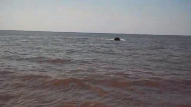фристайл на Selva 6 смотреть онлайн