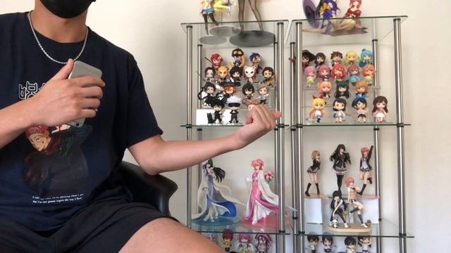 My $4000 Anime Figure Display! (Nendoroids, Scale Figures, and Prize Figures!) *May 2022* смотреть онлайн