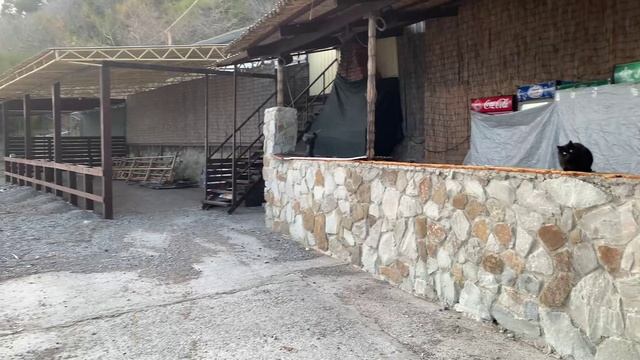 Алупка, пляж после шторма. Крым. ЮБК. Алупка. 03.12.2023 г. смотреть онлайн