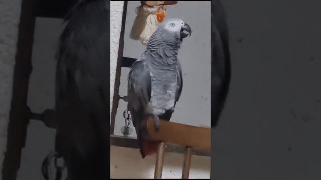 Кирочка покупалась и призывает всех умываться по утрам.