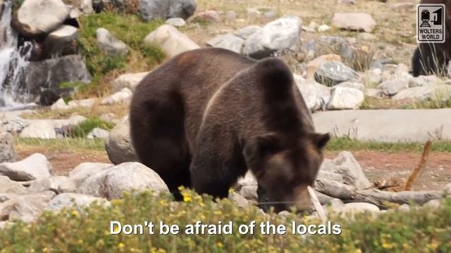 Wyoming - What NOT To Do In Wyoming As A Tourist