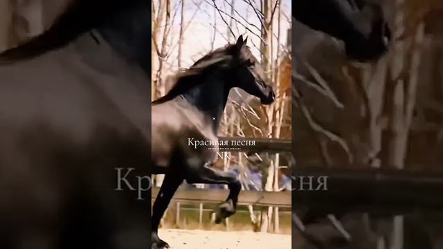 Моим подписчикам! 💥 Всем кто любит и любим! 💫 смотреть онлайн