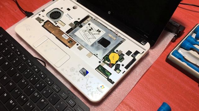 HP Mini 210 Netbook Keyboard Ll How To Remove And Replace