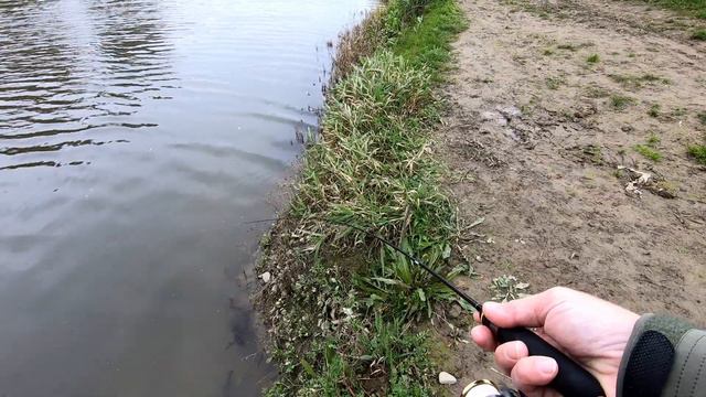 Дністер. Окунь на легку снасть. Вольфрамова мормишка. Осінь 2020 (Mukai AS-1511 Super Sure) смотреть онлайн