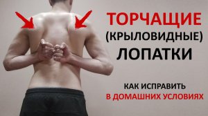 Лопатки торчат по ЭТОЙ причине! ЕДИНСТВЕННОЕ упражнение, чтобы убрать крыловидные лопатки