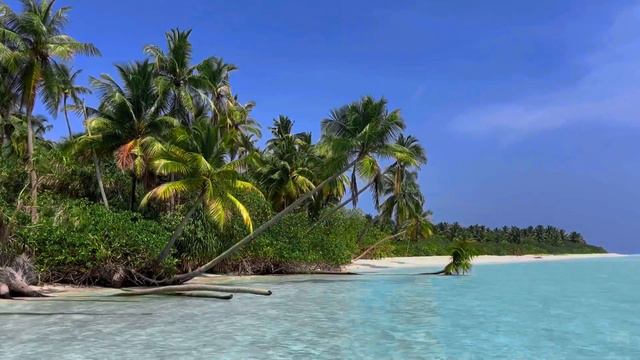 Fohtheyo Bodufushi, Vaavu atoll. смотреть онлайн