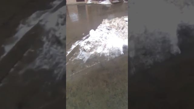 Как я сходил в магнит ну сорт камера отключилась) смотреть онлайн