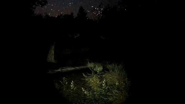 White Noise Online #1 - ДЖАСТ НОЙЗ, ВАЙТ НОЙЗ смотреть онлайн