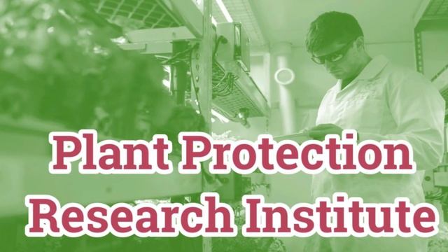 Horticulture jobs I Horticulture careers I Horticulture Society I job alert смотреть онлайн