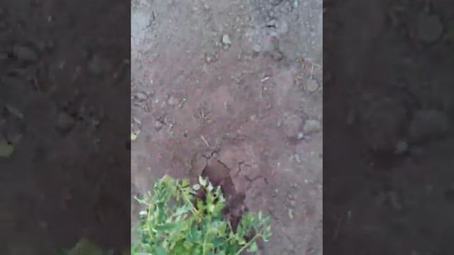 Сельский час смотреть онлайн