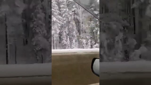 Вот такое вот 1 октября смотреть онлайн