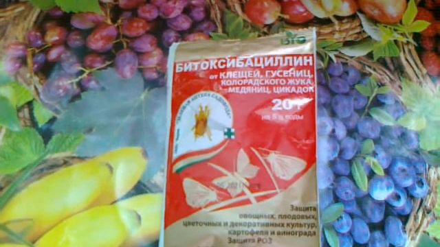 Битоксибациллин  Биопрепарат от вредителей включая клеща.