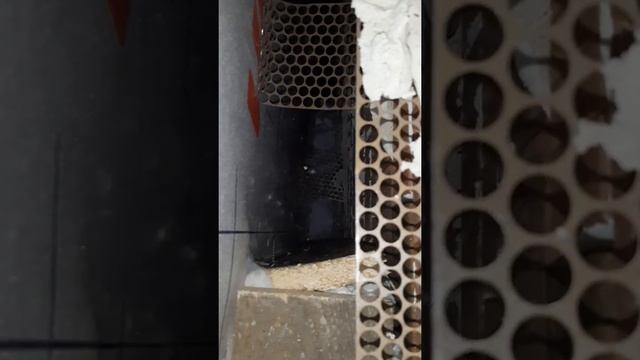 как пеноизол проходит сетку в стене смотреть онлайн