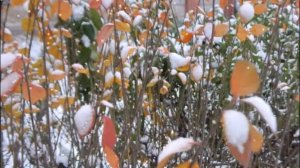 Ноябрь . (песня)