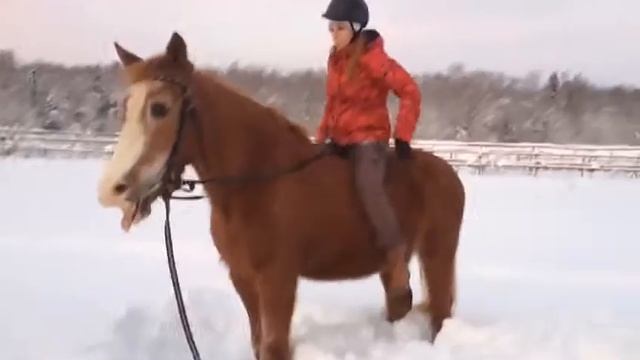 Конный клуб Сивка смотреть онлайн