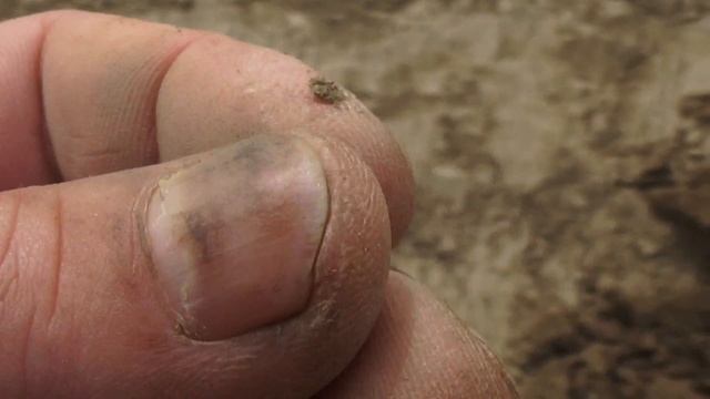 Старинное серебро 3 рейх и много старинных вещей часть 2 смотреть онлайн